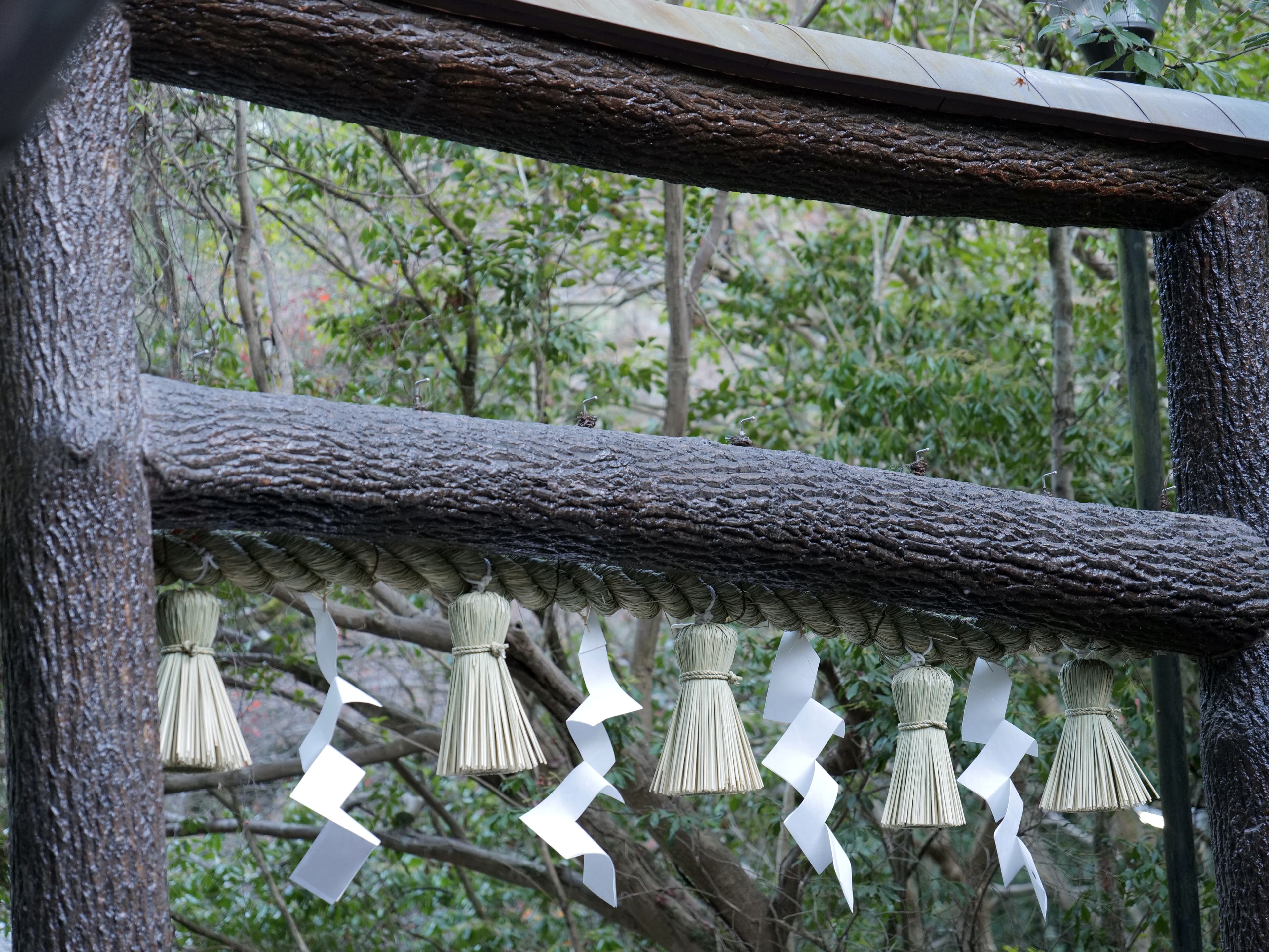 The unpainted wooden torii gate at Nonomiya Shrine in Arashiyama, Kyoto