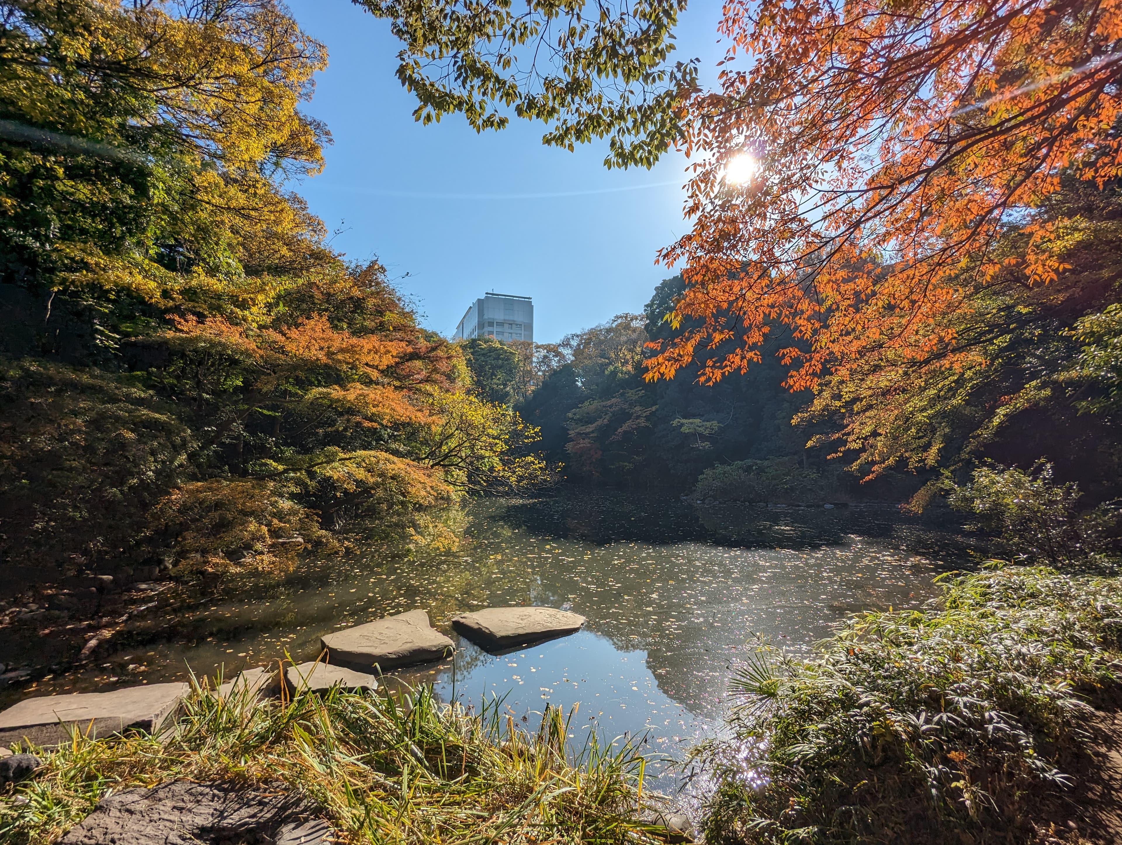 Sanshiro Pond on the University of Tokyo's Hongo campus